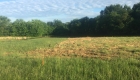Lot mowed ready to dig foundation