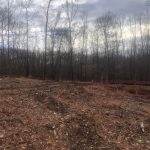 Lot clearing