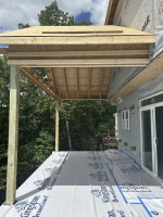 Back Deck Framed